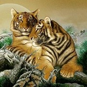 Гобеленовая картина Пара тигров, 50х70 см