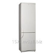 Холодильник Snaige RF 360, 1801AA, фотография