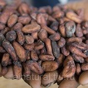 Какао бобы Форастеро, Гана, 1000 гр фото
