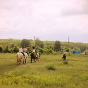 Конная прогулка