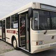 Автобус Неман 5201 городской фотография