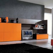 Мебель для гостиной Mobilstella Abitare Fusion фото