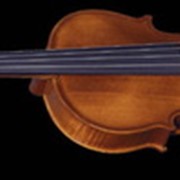 Скрипка Strunal 175 W 1/2 фото