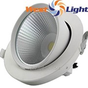 20 W LED светильники Выдвижной Поворотный Downlight