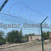 Забор Егоза плоский, барьер СББ из колючей проволоки фотография