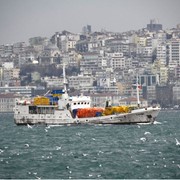 Организация экспортных операций (г.Евпатория - г.Стамбул). фото