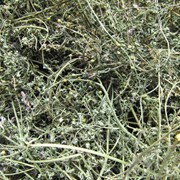 Дымянка лекарственная (трава) 50г фотография