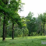 Проектирование санитарной очистки городов фото