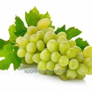 Виноград зеленый фотография