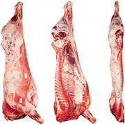Мясо Свинины фото