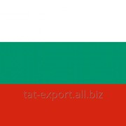 Экспорт в Болгарию фото