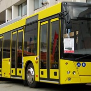 Автобус пассажирский МАЗ - 215