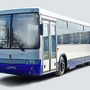 Автобусы городские НЕФАЗ-5299-0000011-33 с местами для инвалидов