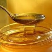 Мед из разнотравья (полифлерный) фото