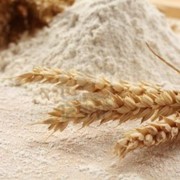 Мука пшеничная Высший сорт фото