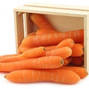 Морковь мытая (пакет) фотография
