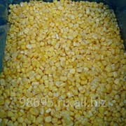 Зерно кукурузы фото
