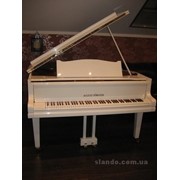 Пианино , рояли с 1891г по 1996г.