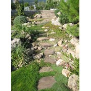 Дорожки и ступеньки фото