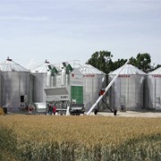 Строительство элеваторов и зернохранилищ под ключ фото