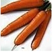 Семена моркови Фэнси фото