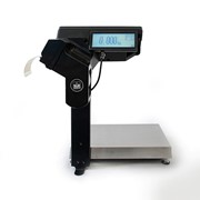 Печатающие весы-регистраторы МК-R2P10 на 6кг, 15кг, 32кг (без подмотки) фото