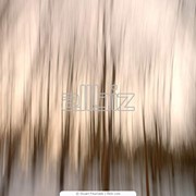 Наращивание волос в Алматы фото