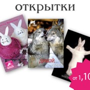 Печать открыток.Корпоративные открытки с логотипом.Заказать открытки-полиграфические салоны белый кролик,Киев фото