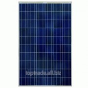 Солнечная панель ABi-Solar SR-P660240 (240 Вт, 24 В) фотография