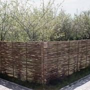 Забор (тын) из орешника, лозы, лещины фото