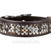 Ошейник кожаный Hunter Arizona 41-49 см фото