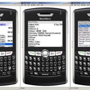 Blackberry-приложения для выставления счетов и управления. Услуги юриста фото