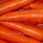 Семена моркови Абледо F1