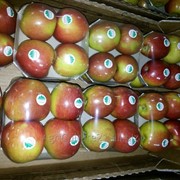 Яблоки простых и Элитных сортов. фото