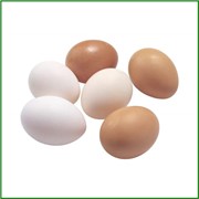 Яйца куриные второй категории, птицефабрика, продажа оптом, Украина