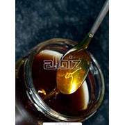 Мёд натуральный фото