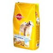 Корм Pedigree для щенков 600 г фото