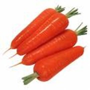 Морковь первого сорта