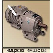 Мотор-редукторы цилиндрические двухступенчатые 1МРЦ2-80Н, 1МРЦ2-100Н