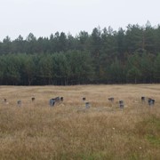 Земельные участки под застройку фото