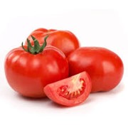 Рассада томатов фото