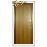 Стальные двери (ламинат) фото