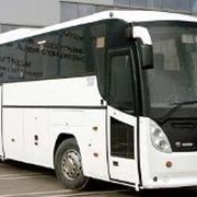Автобус ГолАЗ 5291 Круиз