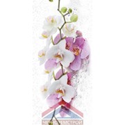 Панель ПВХ “Розовая орхидея “ 0,25х2,7 м фотография