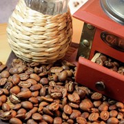 Купить Кофе в зернах Никарагуа Марагоджип с бесплатной доставкой по Екатеринбургу фото