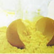 Яичный желток сухой стандартный фотография