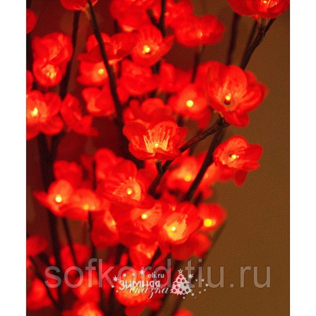 Фото Красной Лампы