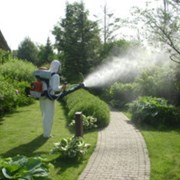 Химическая защита растений.  фото