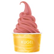 Cмесь для мягкого мороженого Kugel сорбет фотография