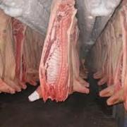 Продажа мяса свинины фотография